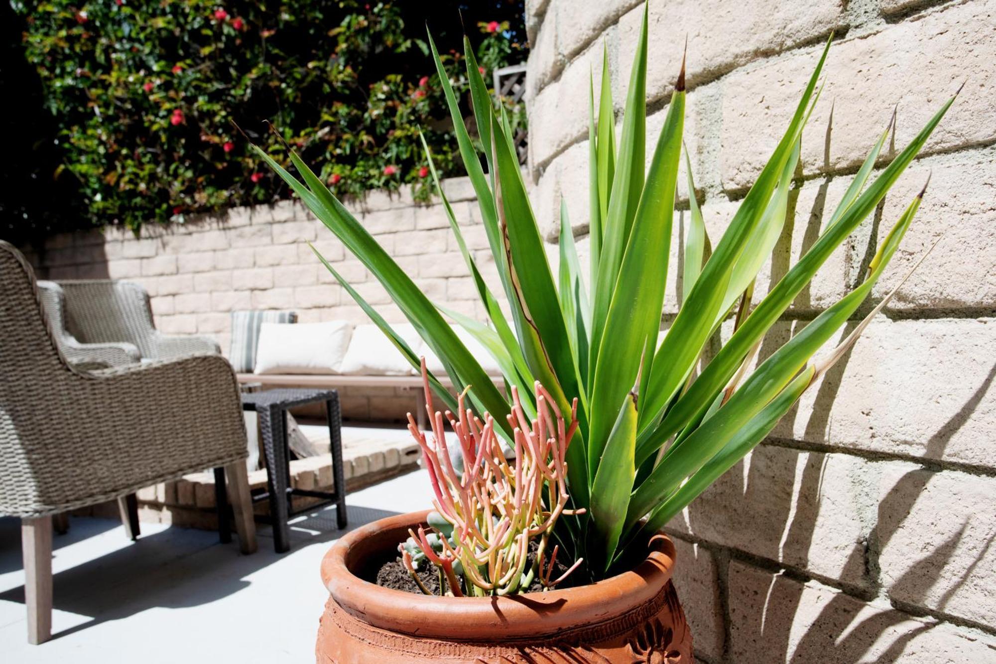 Hébergement de vacances Beautiful 5 Bedroom Sleeps16 Pool Universal *